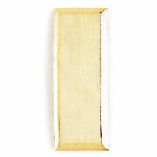 ICS Lieutenant Bars Pair