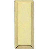 TG LIEUTENANT BARS, 1" LT PAIR