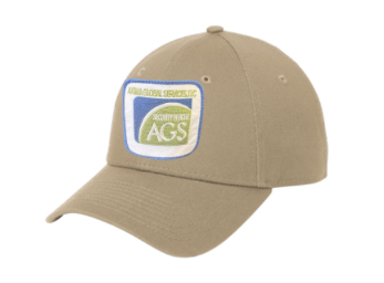 AKI New Era® - Adjustable Structured Cap