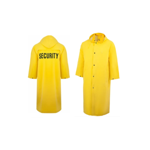 ICS Neese Economy Series