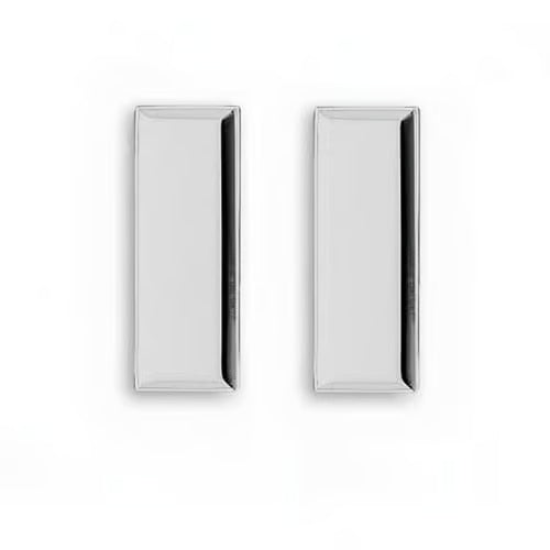 Lieutenant Bars Pair