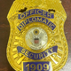 Metal Badge ( Officer Diplomatic Security)
