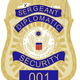 Metal Badge ( Sergeant - Diplomatic Security)