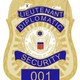 Metal Badge ( Lieutenant - Diplomatic Security 001)