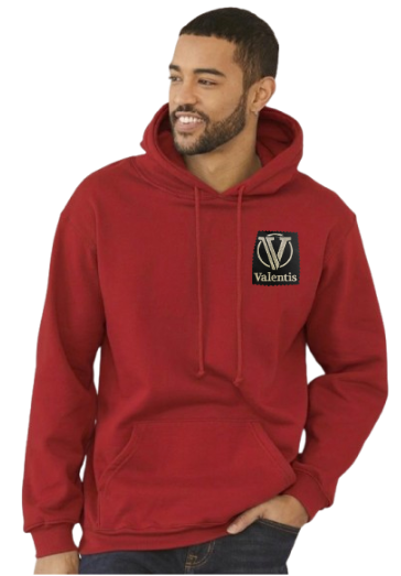 VLTS Unisex USA-Made Hooded Sweatshirt
