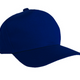 Baseball Cap (KELLER TRANS)