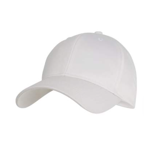 Supreme Solid Color Low Profile Cap