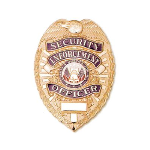 Security Enforcement Officer, Chest GOLD